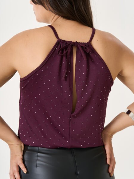 Alternative view of Top KANSAS