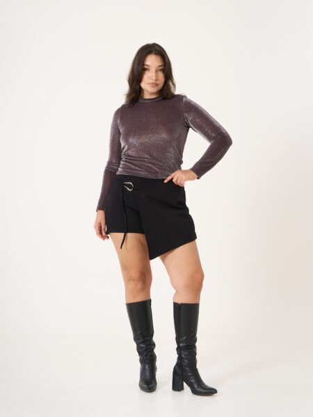 Alternative view of Top BELGICA